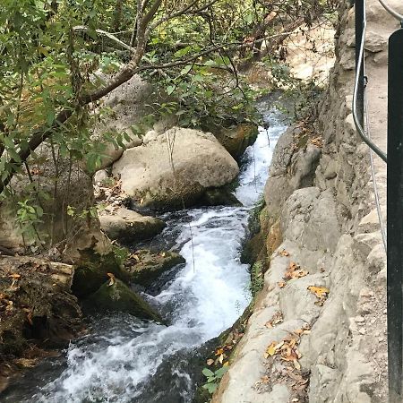 Bosque Alto Villa El Bosque Kültér fotó