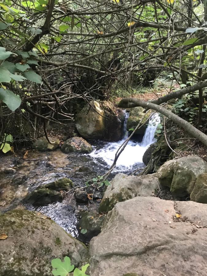 Bosque Alto Villa El Bosque Kültér fotó